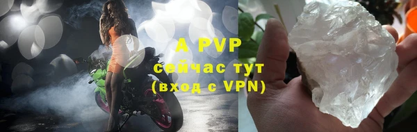 стаф Пересвет