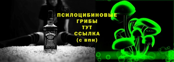 стаф Пересвет