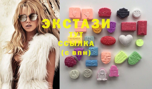 стаф Пересвет