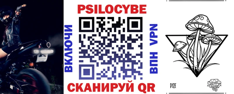 MEGA вход  Лесозаводск  Псилоцибиновые грибы Psilocybe 